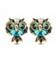 LNKRE JEWELRY Women's Cute Owl Rhinestone Gemstone Stud Earrings - C512JGEY2J7