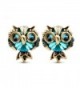 LNKRE JEWELRY Women's Cute Owl Rhinestone Gemstone Stud Earrings - C512JGEY2J7