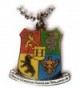 Harry Potter Hogwarts Coat of Arms Crest Pendant Necklace w/Ball Chain - C3116IJOM5D