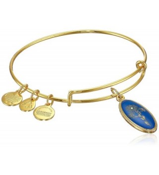 Alex and Ani Star of Mystery Aster Expandable Wire Bangle Bracelet - Yellow Gold - CZ11RV220KF