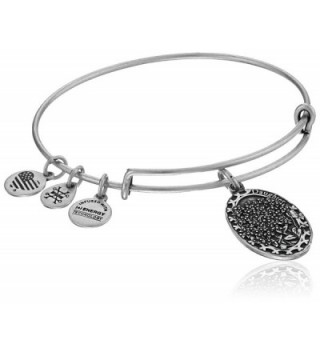 Alex and Ani Daughter Expandable Charm Bangle - Rafaelian Silver Finish - C212CLYYIOD