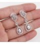 Wordless Love Zirconia Teardrop Earrings