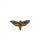 Yellow Death Head Moth Wooden Pinback Brooch - C512IZMMBD5