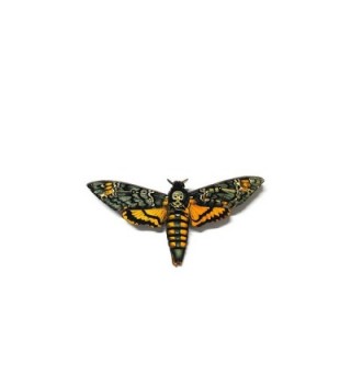 Yellow Death Head Moth Wooden Pinback Brooch - C512IZMMBD5