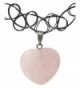Rose Heart Choker Necklace with Gift Box - CX1275QQ6R9