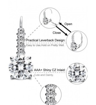 FIBO STEEL Stainless Leverback Earrings in Women's Drop & Dangle Earrings