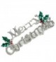 Winter Merry Christmas Pin Present Gift Stuffers Mistletoe Flower Brooch Jewelry - CV11H14B667