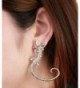 Creazy Crystal Rhinestone Earrings Luxury