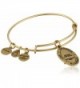 Alex Ani Expandable Rafaelian Bracelet