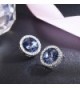 SBLING Platinum Plated Earrings Swarovski Crystals