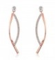 SBLING 18K Rose Gold Plated Cubic Zirconia Drop Earrings (1.5 cttw) - C8120J0VW8L