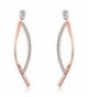 SBLING 18K Rose Gold Plated Cubic Zirconia Drop Earrings (1.5 cttw) - C8120J0VW8L