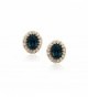 Sapphire Swarovski Elements Zirconia Earrings - CF11ZBF4PJ3