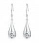 YFN Teardrop Drops 925 Sterling Silver Eternal Love Heart Hollow Paw Dangle Earrings for Women Girls - Clear - CQ185484ZXS