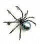 Victorian Style Mother of Pearl Body and Micro Pave Spider Brooches Pins Silver Tone (Black) - CD1850DRTXQ