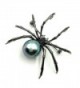 Victorian Mother Spider Brooches Silver