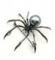 Victorian Mother Spider Brooches Silver in Women's Brooches & Pins