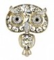Alilang Antique Golden Indian Rhinestone Embellish Owl Bug Eyes Pin Brooch - C811DK21AHN