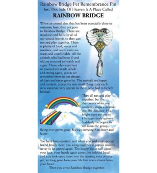 Rainbow Bridge Pet Memorial Pin