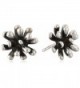 Zina Sterling Silver Fireworks Collection Earrings - CZ111VJC3QP