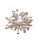 JYX Flower-stye Brooch White Freshwater Pearl Brooches with Shiny Zircons - CQ12MY6XXC6