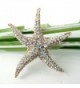 Navachi Plated Crystal Starfish Az7199b in Women's Brooches & Pins
