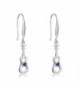 Accessory Sterling Zirconia Fishhook Earrings