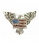 For Love of Country "American Eagle and Flag" Pin Brooch - CK11U9BOAXT
