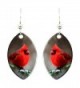 d'ears Cardinal Earrings 1438 - CH188GN93XY
