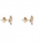 Humble Chic Shark Tooth Shaped Earrings