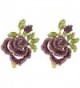 EVER FAITH Women's Austrian Crystal Romantic Rose Flower Leaves Stud Earrings - Purple Gold-Tone - CI129UGJ5OD