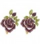 EVER FAITH Women's Austrian Crystal Romantic Rose Flower Leaves Stud Earrings - Purple Gold-Tone - CI129UGJ5OD