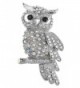 Alilang Crystal Rhinestone Perched Owl Silvery Tone Pin Brooch - CV114V727IX