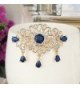 EVER FAITH Austrian Sapphire Color Gold Tone in Women's Brooches & Pins