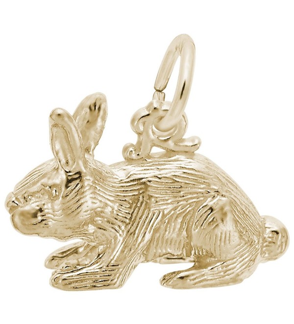 Rabbit Charm- Charms for Bracelets and Necklaces - C211JW1PTHJ