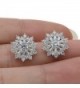 EVER FAITH Sterling Zirconia Snowflake in Women's Stud Earrings