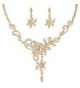 EVER FAITH Women's Austrian Crystal Bridal Floral Vine Leaf Necklace Earrings Set Clear - Gold-Tone - CT11U873P9P
