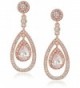 Anne Klein Rose Gold Tone Pave Post Orbital Drop Earrings - CH1876GIAG7