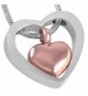 Cremation Necklace Pendant Memorial Jewelry - sliver and rose gold - CT17XX5642L