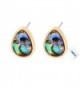 SENFAI Created Blue Green Abalone Paua Shell Stud Earrings Gold plated - Gold Water drop - CX12N4SJ8DI