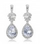 EVER FAITH Wedding Silver-Tone Flower Leaf Teardrop Clear Zircon Dangle Earrings Crystal - CZ11BGDNO5P