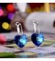 LadyRosian Sterling Earrings Swarovski Crystals in Women's Drop & Dangle Earrings