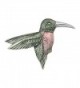 Danforth - Hummingbird Pewter Brooch Pin - CG110MMJIWJ